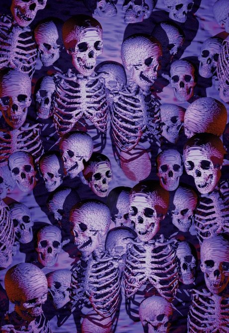 Ringmaster Sani high quality star gallery