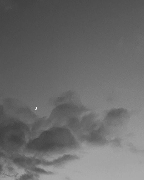 Andre Nikolai top star pictures