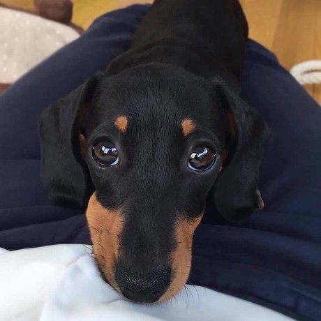 transsexual onlyfans free sex img