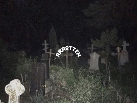 Corpse Bride pretty model galleries