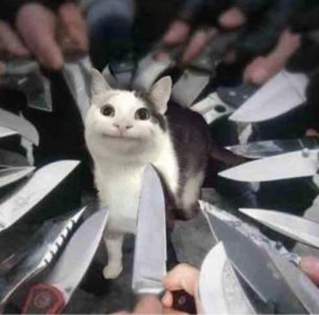 RosieTeet pretty model image