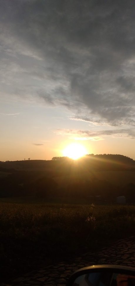 Rose veres porn star pics