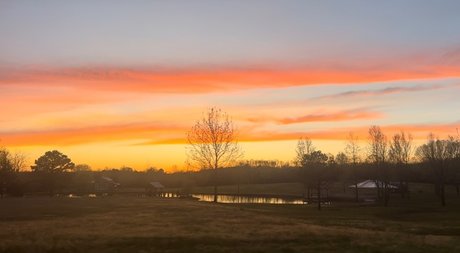 Rose Ink porn star gallery