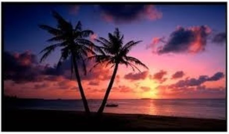 SaftigerDaddy perfect pornstar photo