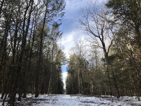 sabby best model picture