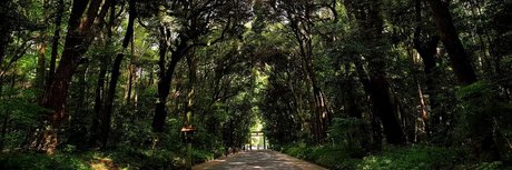 Ryuzaki_ high quality actress galleries