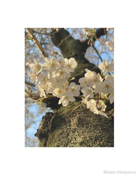 athletic milf onlyfans hot nude photos