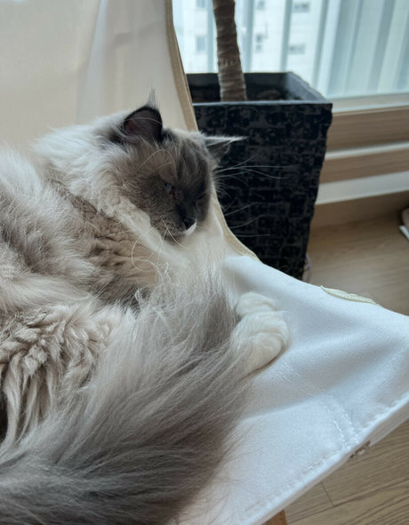 wife pussy onlyfans free sexy galleries