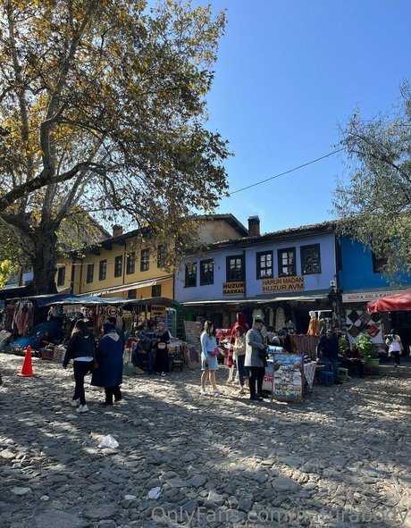 mervedamla erotic actress pics