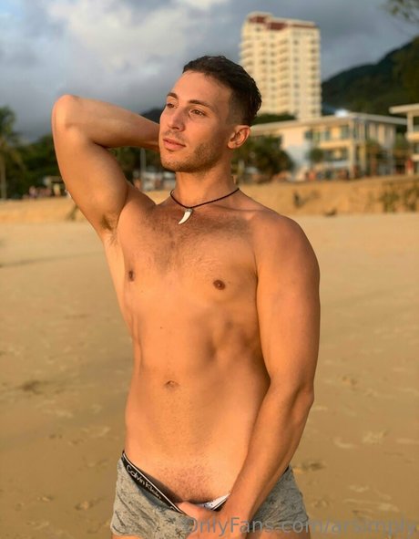 arsimply perfect model archive