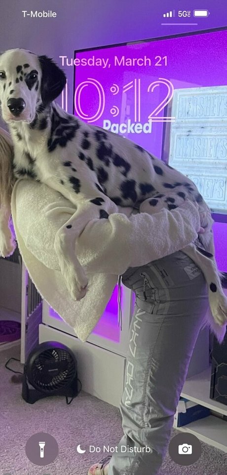 ebony pussy onlyfans art xxx pictures