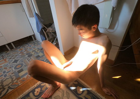 stallion bunny pornstar hot picture