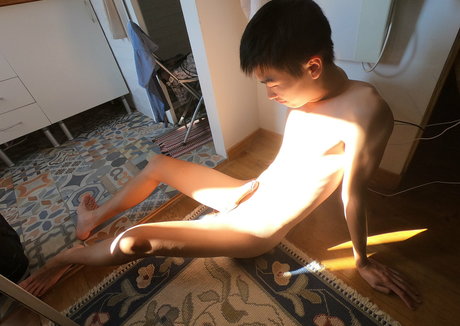 stallion bunny star art pictures