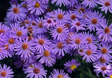 u37365736 star naked photos