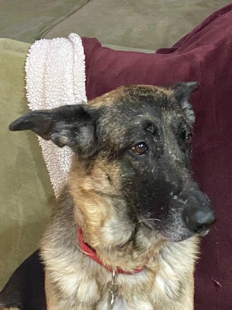 Sassy Jassy best model picture