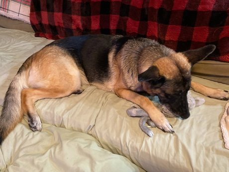 Sassy Jassy pornstar hd picture