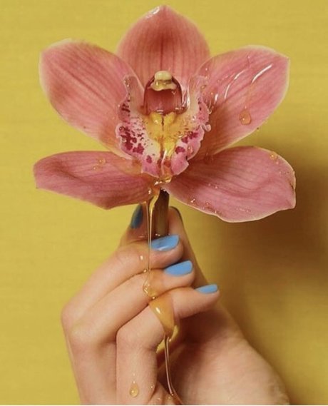 SashaSade high quality model image