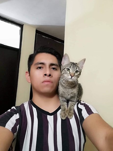 porn onlyfans art xxx photos