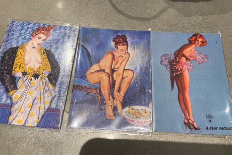 Sage lee pornographic star images