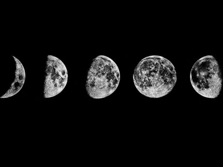 Lunar Fraulein exclusive actress galleries