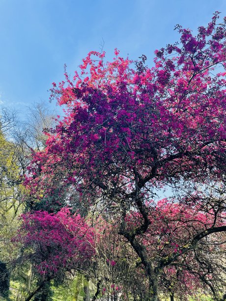 whore wife onlyfans free nude archive