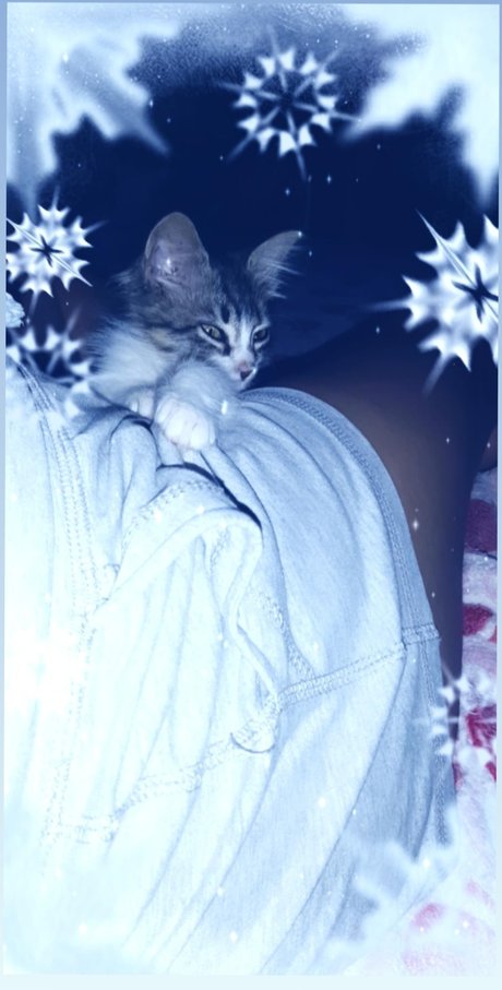 Lulita beautiful model pictures