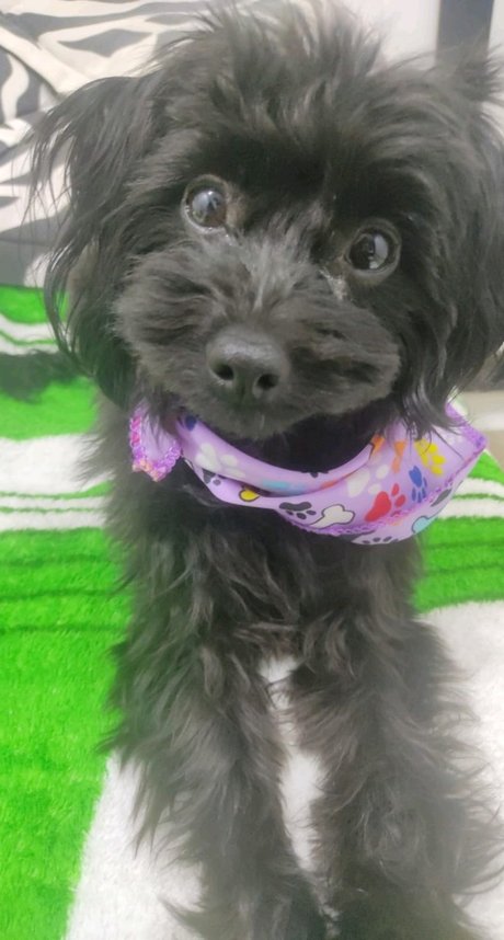 Scarlett hansen star beautiful pictures