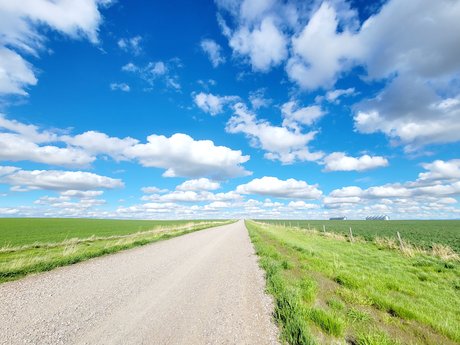 famous ladyboy onlyfans pornos galleries