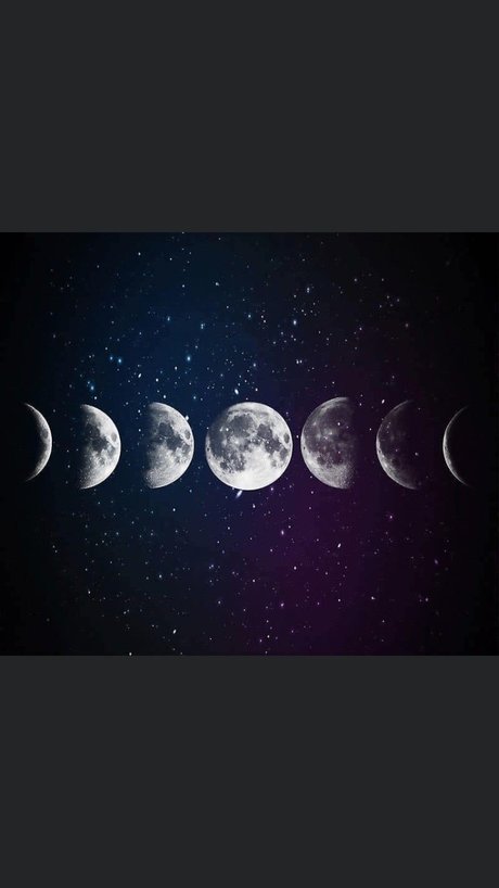 xrage sexy star archive