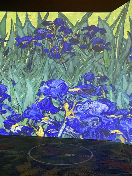 Persian Prince best actress image