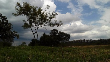 summer trans onlyfans free porn pic