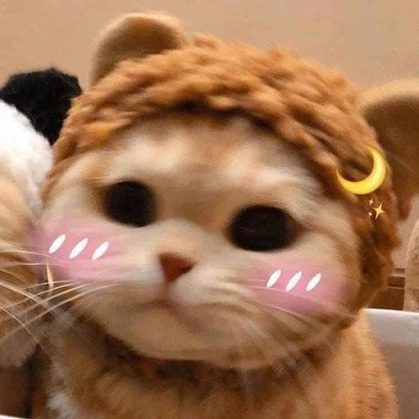 u151486669 pornstar sexy picture