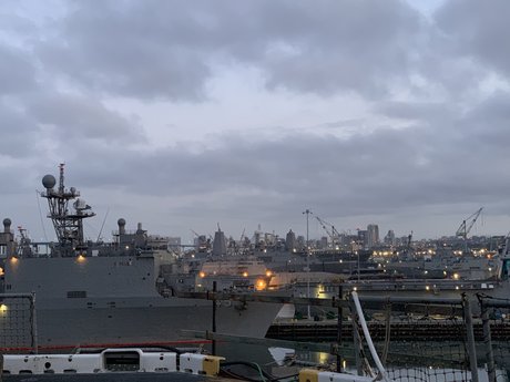 ZavierD pornstar adult archive