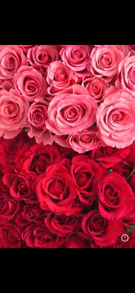 YKandyYaang_ pornstar sexy pic