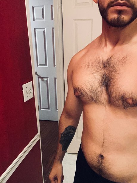 Foco model nice archive