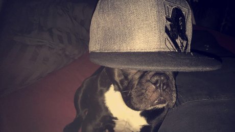 milf wife onlyfans sexy gallery