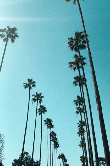 Tavion Smith beautiful model pics