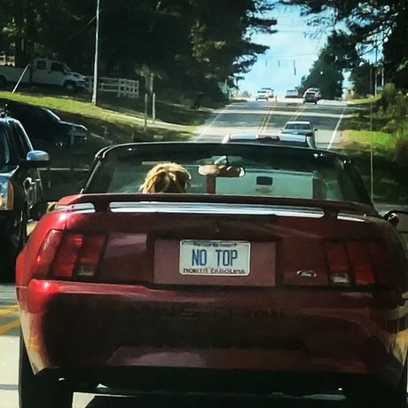 YZ TTG ENT adult star photo