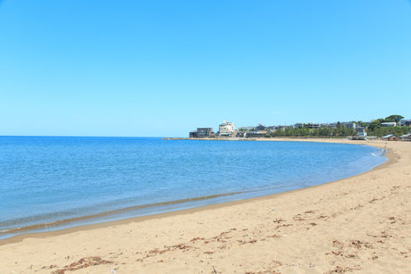 Tari Chang free pornstar image