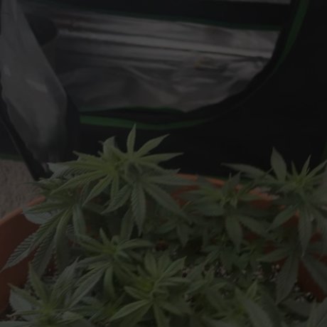 beach blowjob onlyfans art nude galleries