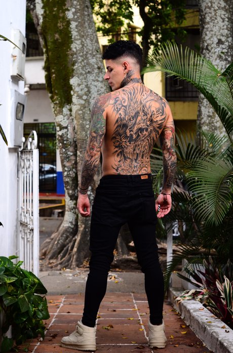 Trisstan actress galleries