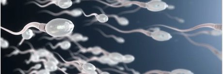 BBK TOP in PARIS nice pornstar img