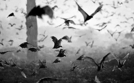 anal amateur onlyfans pornos pics