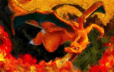 Ozzie star porn galleries