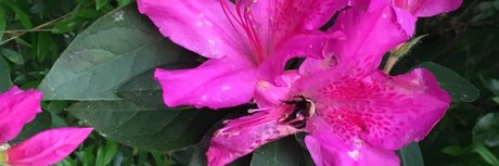 asian slut onlyfans pretty photo