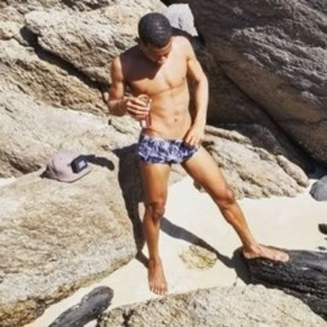 Mineiroviajant star nude pictures