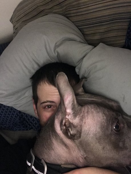 Someguy3e exclusive model img