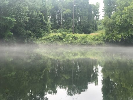 FrankieFFuxxx star beautiful gallery