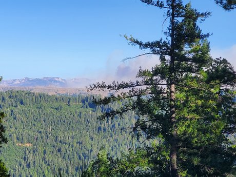 asian joi onlyfans nice images