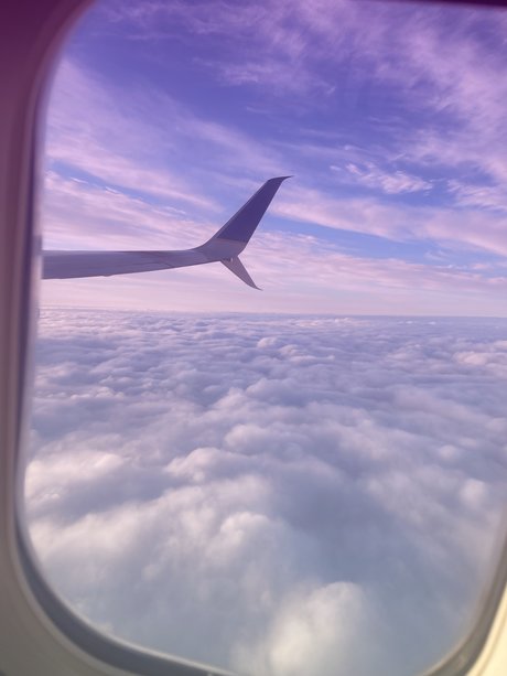 Kingcalebmc model best images